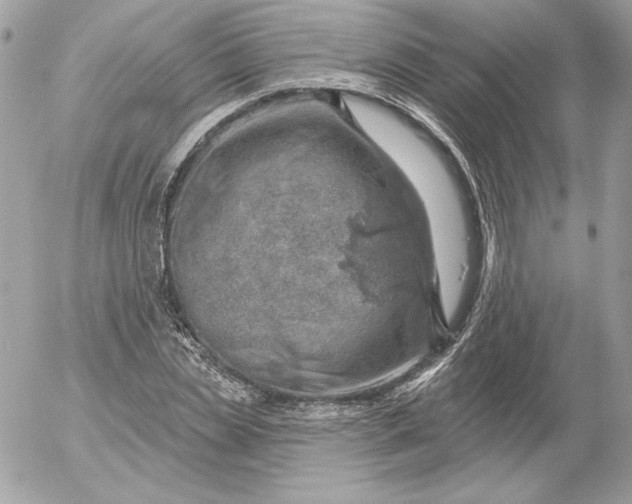 X0000052930829200507221119