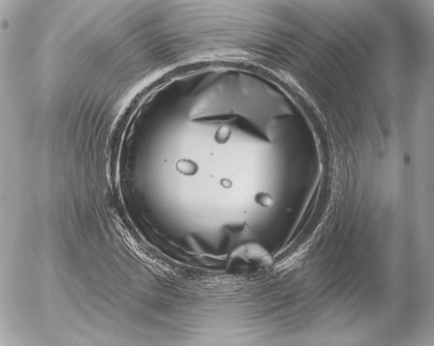 X0000052930830200507221119