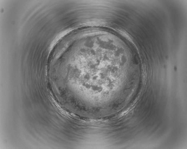 X0000052930831200507221119