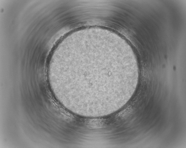 X0000052930832200507221119