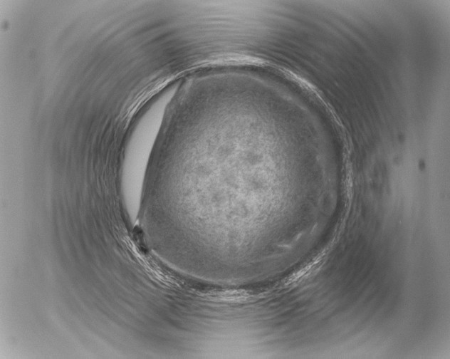 X0000052930833200507221119