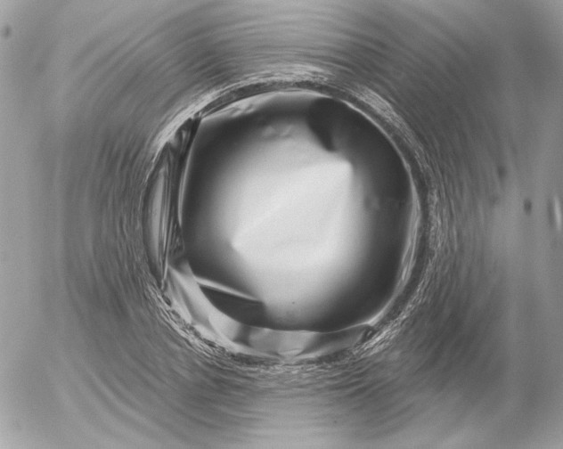 X0000052930834200507221119