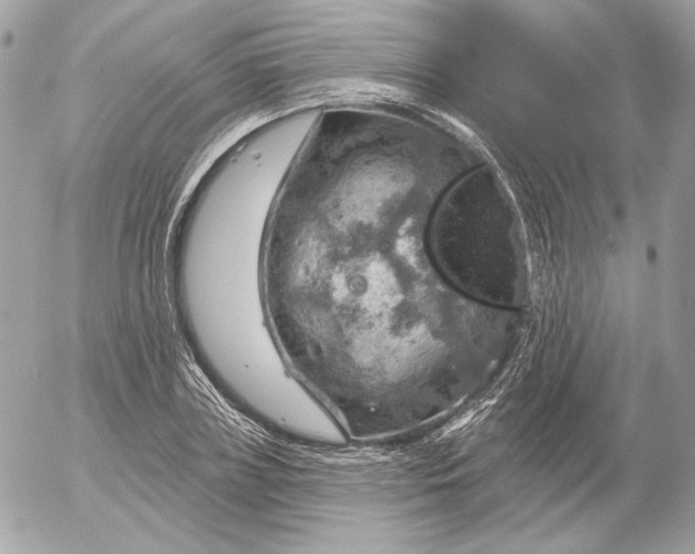 X0000052930835200507221119