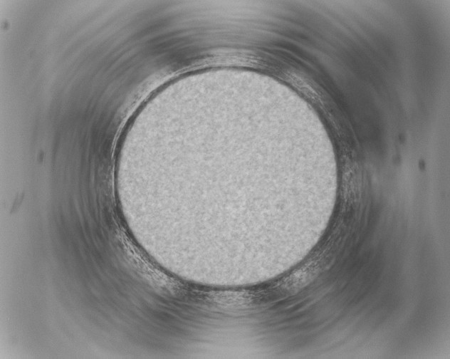 X0000052930836200507221119