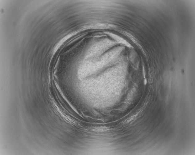 X0000052930837200507221119