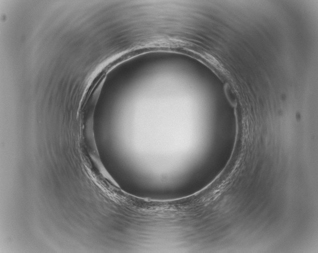 X0000052930838200507221119