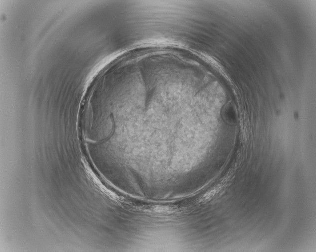 X0000052930839200507221119