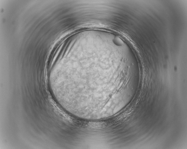 X0000052930840200507221119