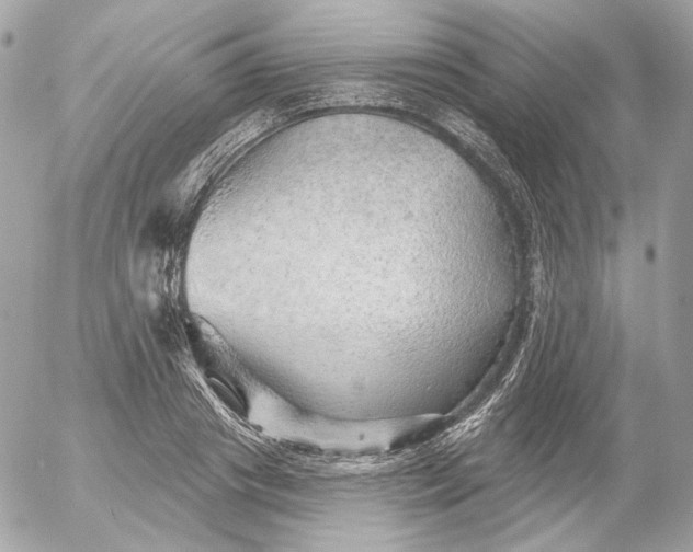 X0000052930841200507221119