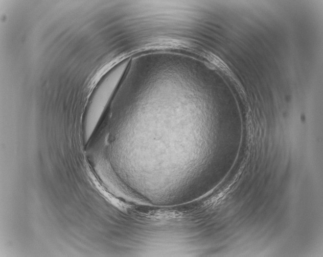 X0000052930842200507221119