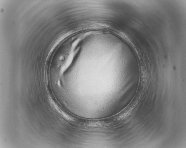 X0000052930843200507221119