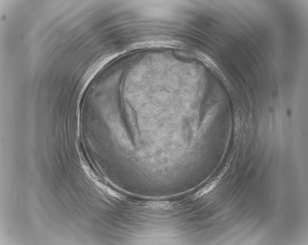 X0000052930844200507221119