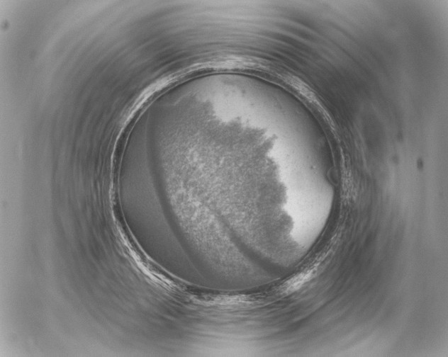 X0000052930845200507221119