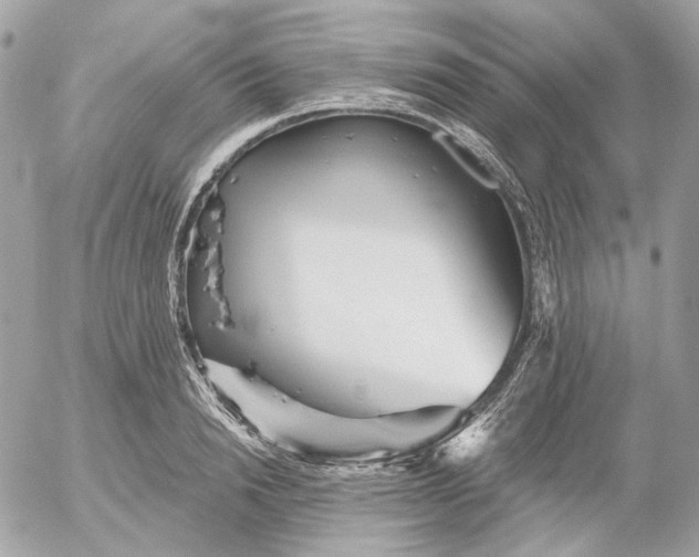 X0000052930846200507221119