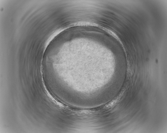 X0000052930847200507221119