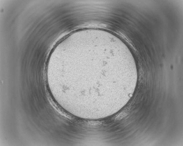 X0000052930848200507221119