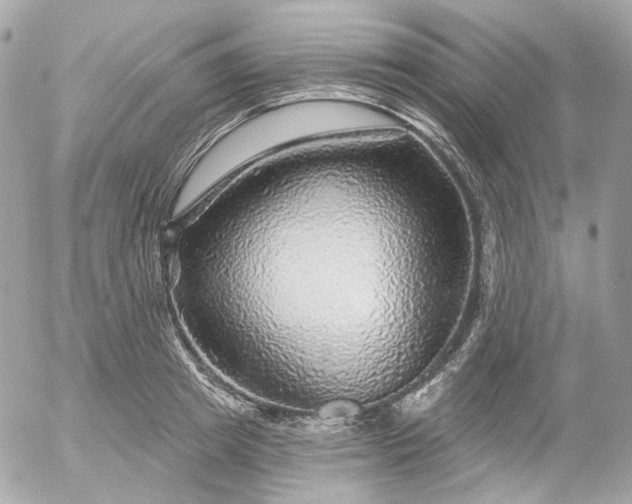 X0000052930849200507221119