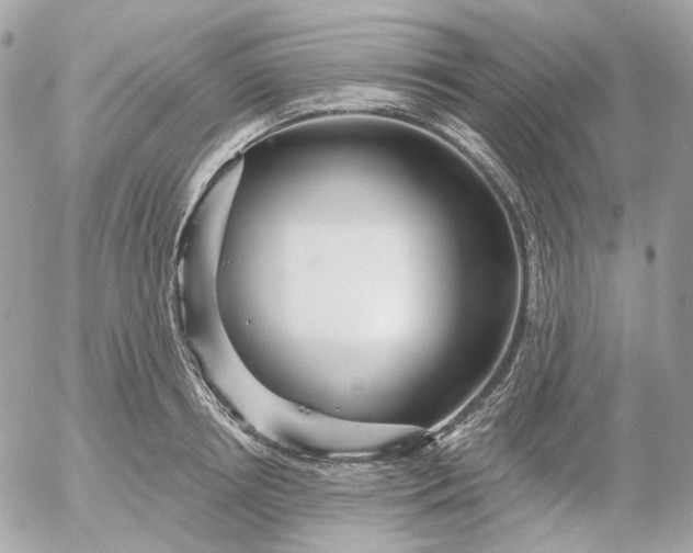 X0000052930850200507221120