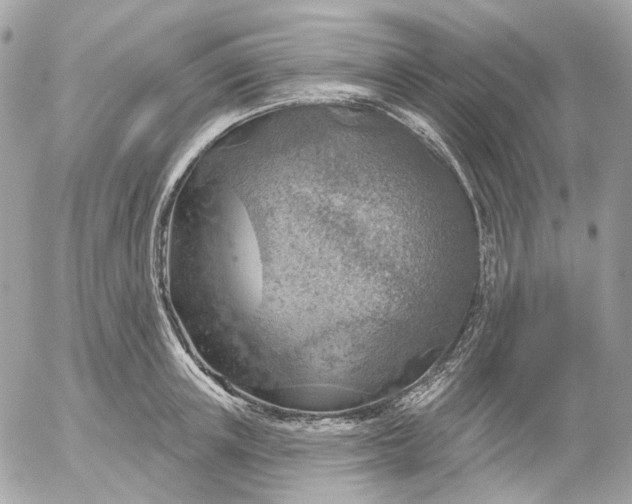 X0000052930851200507221120