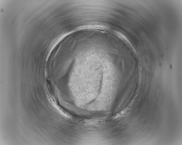 X0000052930852200507221120