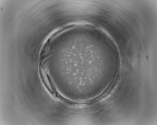 X0000052930853200507221120