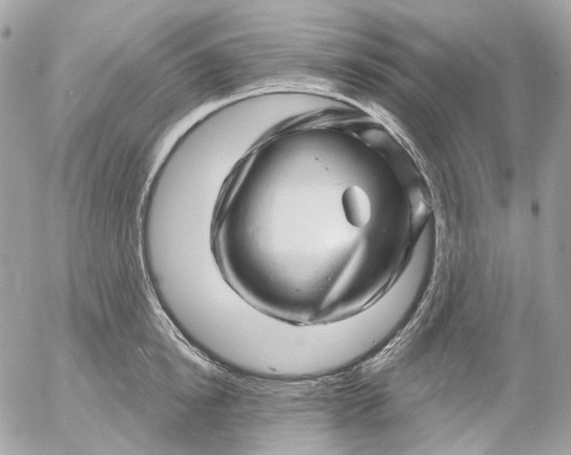 X0000052930854200507221120