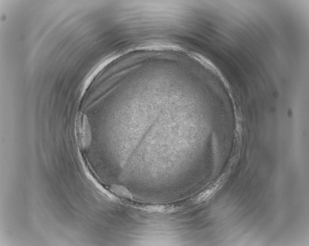 X0000052930855200507221120