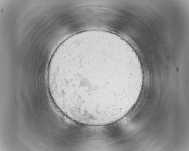 X0000052930856200507221120