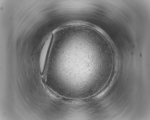 X0000052930857200507221120