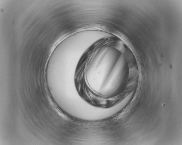 X0000052930858200507221120