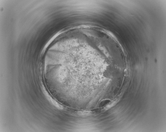 X0000052930859200507221120