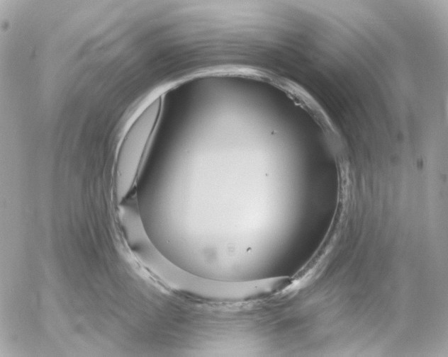 X0000052930860200507221120