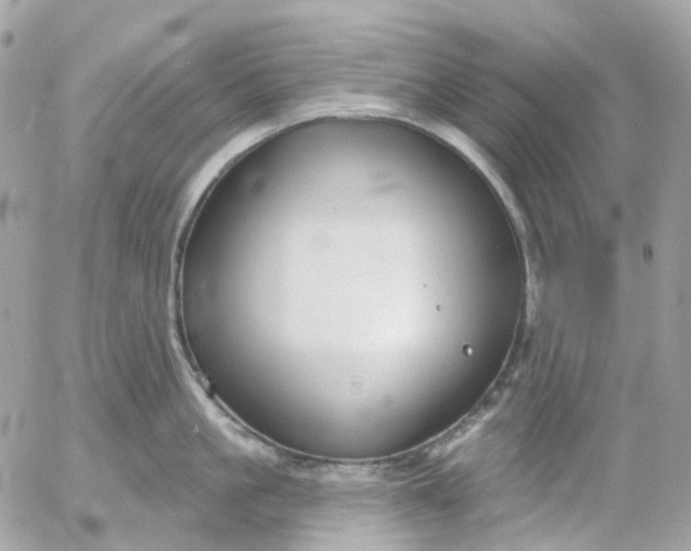 X0000052930861200507221120