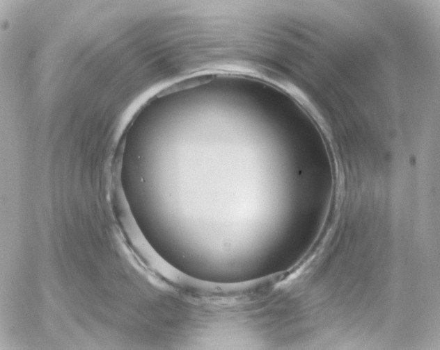 X0000052930862200507221120