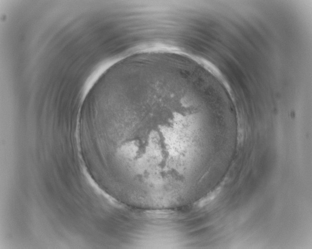 X0000052930863200507221120