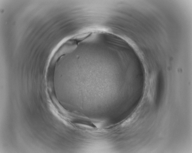 X0000052930864200507221120