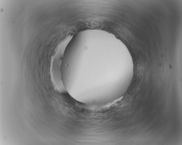 X0000052930865200507221119