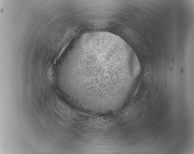 X0000052930866200507221119