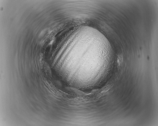 X0000052930867200507221119