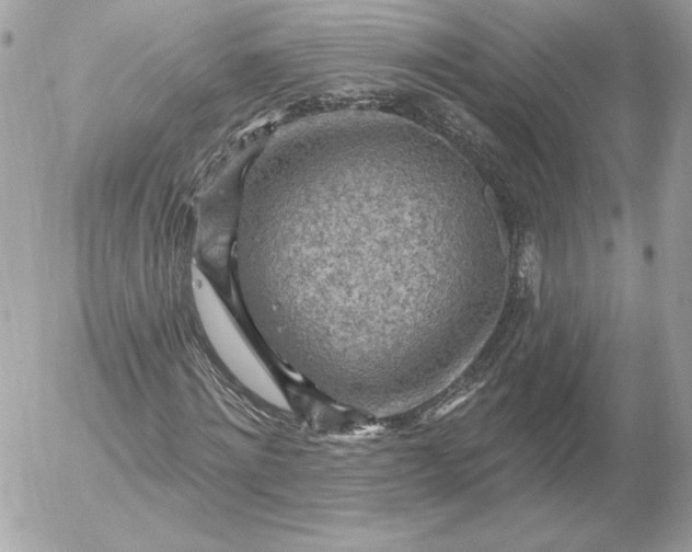 X0000052930868200507221119