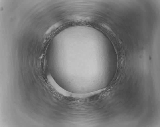 X0000052930869200507221119