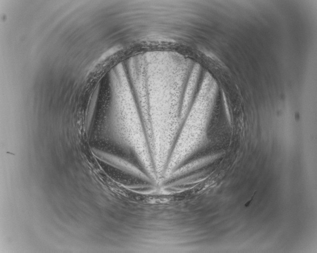 X0000052930870200507221119