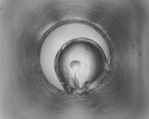 X0000052930871200507221119