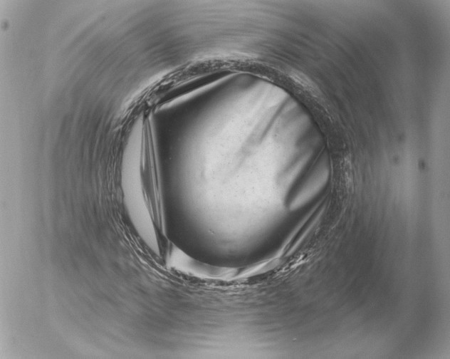 X0000052930872200507221119