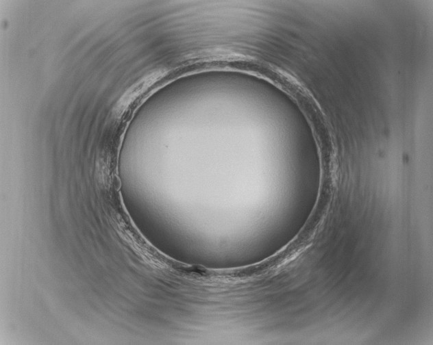 X0000052930873200507221119