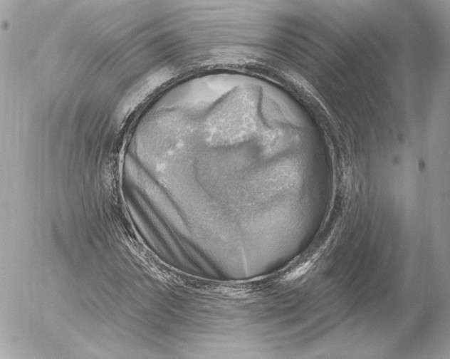 X0000052930874200507221119