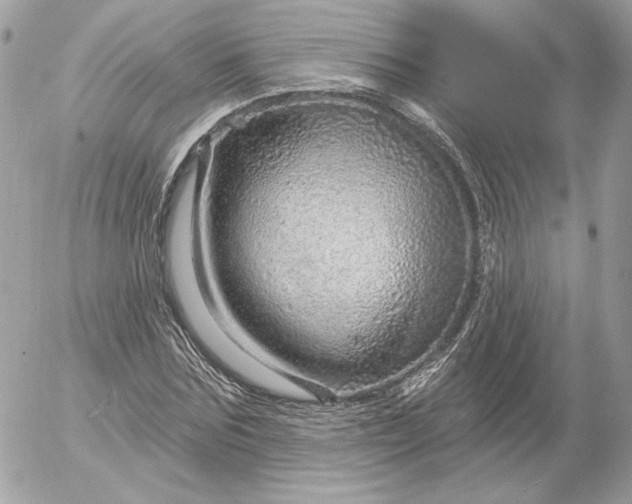 X0000052930875200507221119