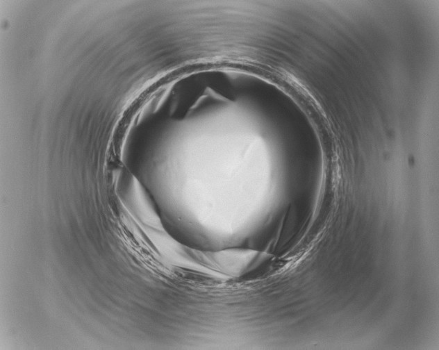 X0000052930876200507221119