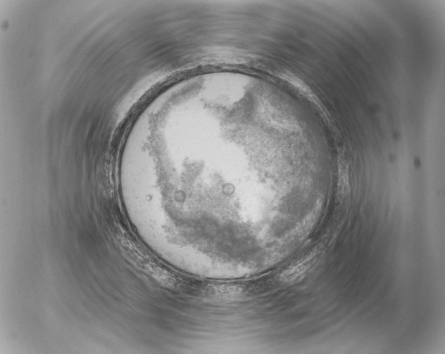 X0000052930878200507221119