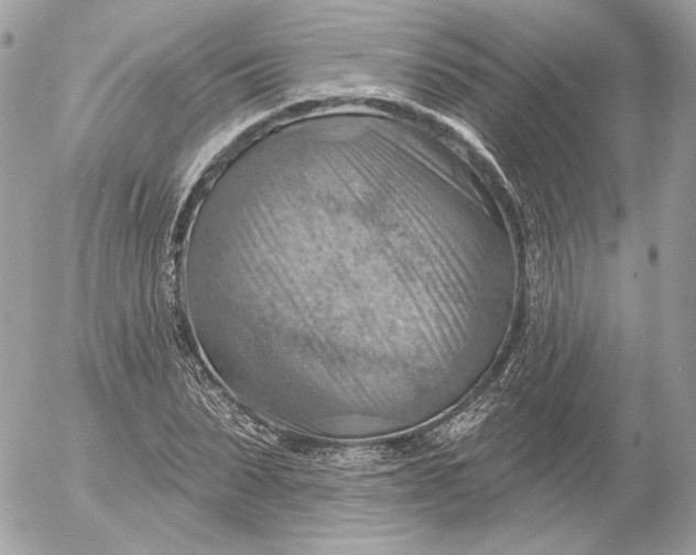 X0000052930879200507221119